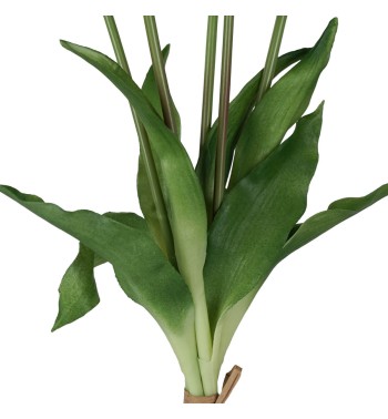 Fascio di 5 Tulipani H.39 cm