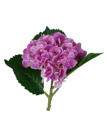 Ortensia Artificiale Real Touch H.50 cm