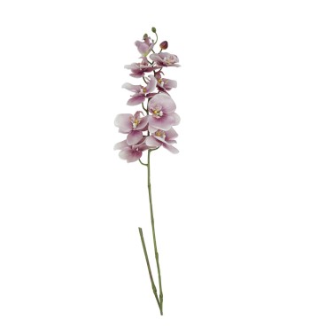 Orchidea con 9 Fiori H.98 cm