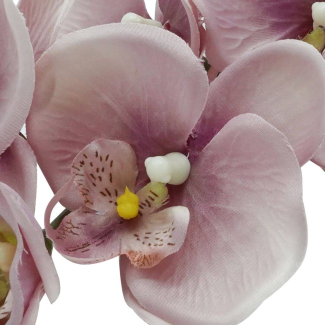 Orchidea con 9 Fiori H.98 cm