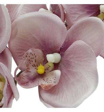 Orchidea con 9 Fiori H.98 cm