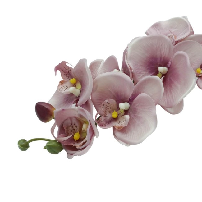 Orchidea con 9 Fiori H.98 cm