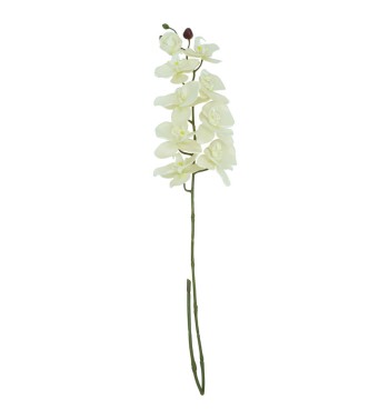 Orchidea con 9 Fiori H.98 cm
