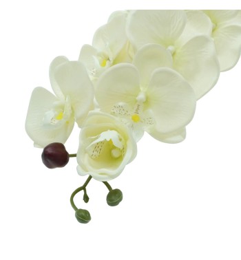 Orchidea con 9 Fiori H.98 cm