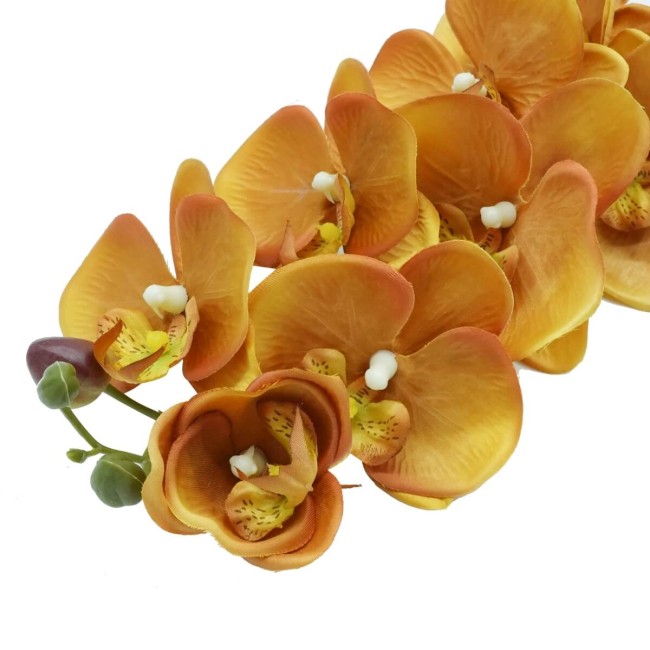 Orchidea con 9 Fiori H.98 cm