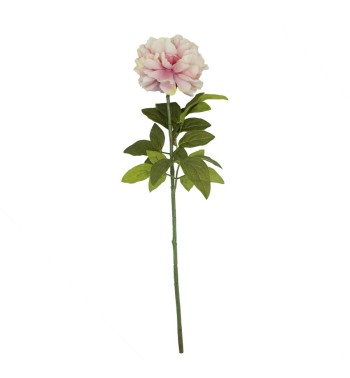 Peonia Artificiale H.72 cm