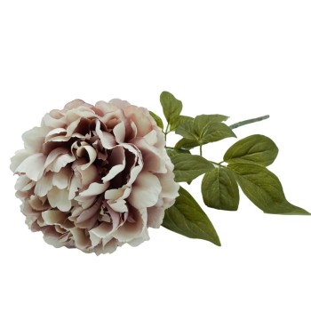 Peonia Artificiale H.72 cm