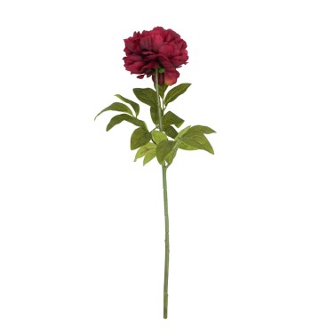 Peonia Artificiale H.72 cm