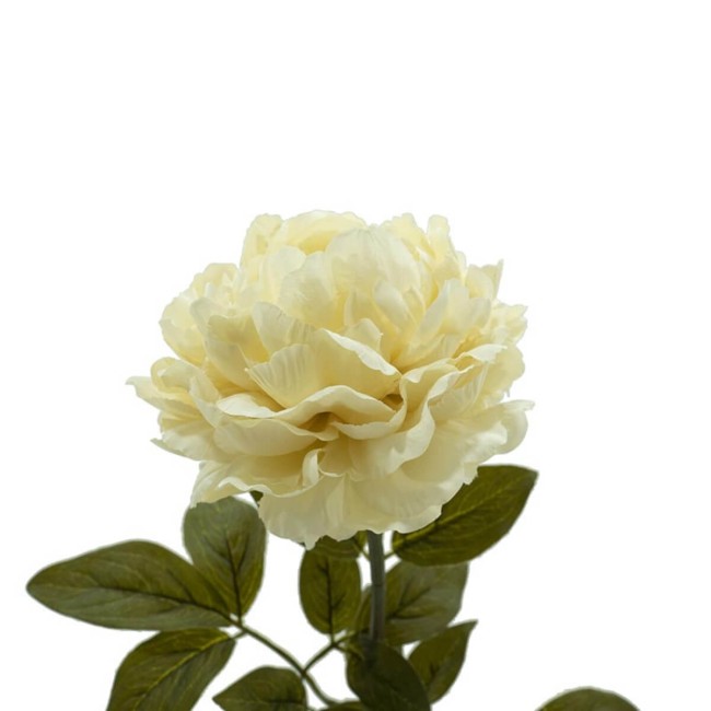 Peonia Artificiale H.72 cm