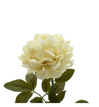 Peonia Artificiale H.72 cm