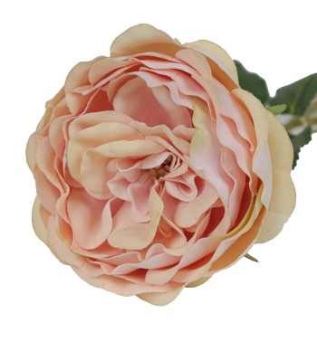 Rosa Schiusa Artificiale con Stelo e Foglie H.50 cm