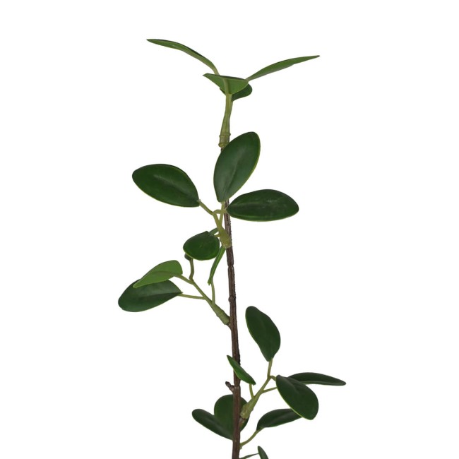 Rametto con Foglie Verdi Artificiale H.104 cm