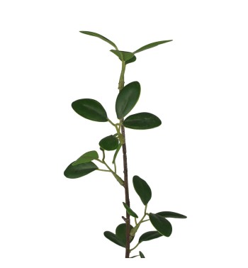 Rametto con Foglie Verdi Artificiale H.104 cm