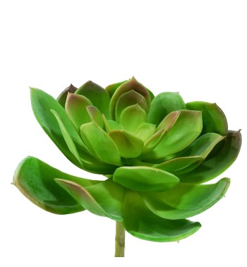 Fiore di Pianta Grassa Verde H.18 cm