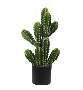 Cactus Artificiale Realistico 2 Misure