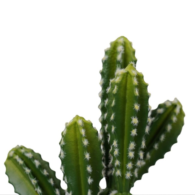 Cactus Artificiale Realistico 2 Misure