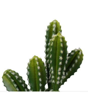 Cactus Artificiale Realistico 2 Misure