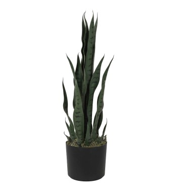 Pianta Sansevieria Artificiale in PE 2 Misure