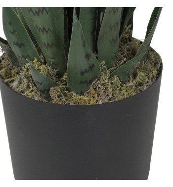 Pianta Sansevieria Artificiale in PE 2 Misure