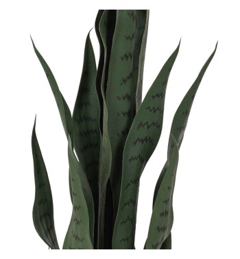 Pianta Sansevieria Artificiale in PE 2 Misure