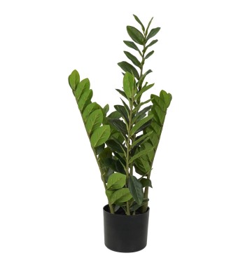 Pianta Zamioculcas Artificiale Realistica 2 Misure