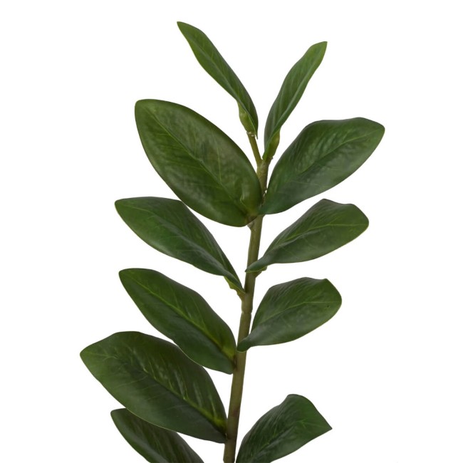 Pianta Zamioculcas Artificiale Realistica 2 Misure