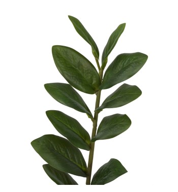 Pianta Zamioculcas Artificiale Realistica 2 Misure