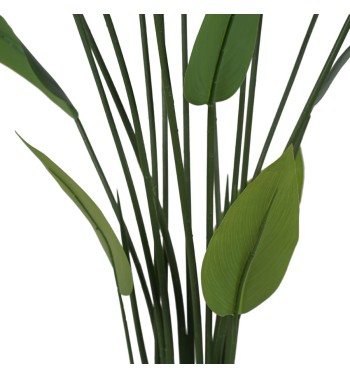 Pianta Strelitzia Reginae Artificiale 4 Misure