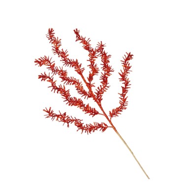 Ramo di Pino Glitterato H.73 cm Vari Colori