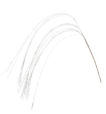 Ramo con Fili Glitterati H.113,5 cm Vari Colori