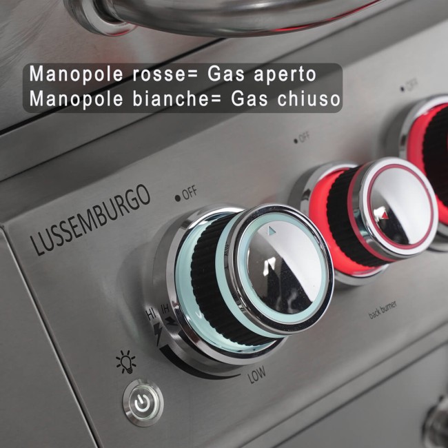 Barbecue a Gas 5 Fuochi con Fornello Laterale e Tavolo Estraibile - Lussemburgo