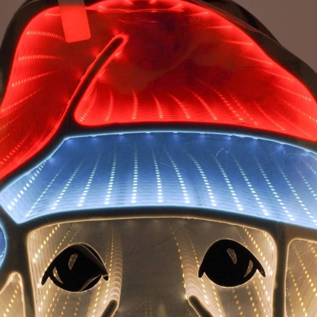 Cagnolino Luminoso Natalizio 3D con Effetto Infinity Mirror