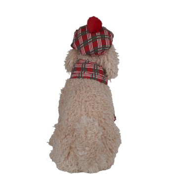 Golden Doodle Natalizio con Cappello e Sciarpa Tartan H.48 cm