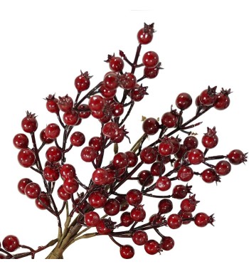 Rametto Natalizio di Bacche rosse