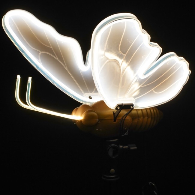 Farfalla Natalizia Luminosa con Movimento 2 Misure