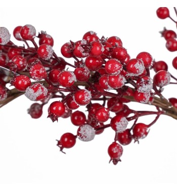 Ghirlanda Natalizia di Bacche D.50 cm