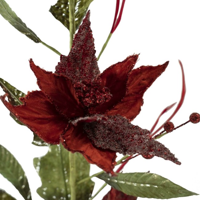 Stella di Natale Rossa H.70 cm