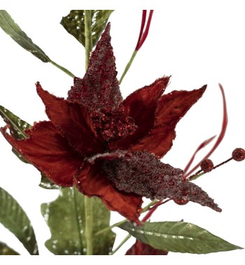 Stella di Natale Rossa H.70 cm