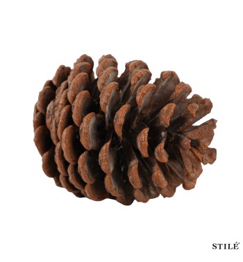 Sacchetto con Pigne Naturali Decorative da 6-10 cm