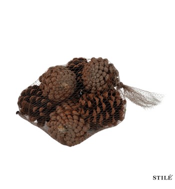 Sacchetto con Pigne Naturali Decorative da 6-10 cm