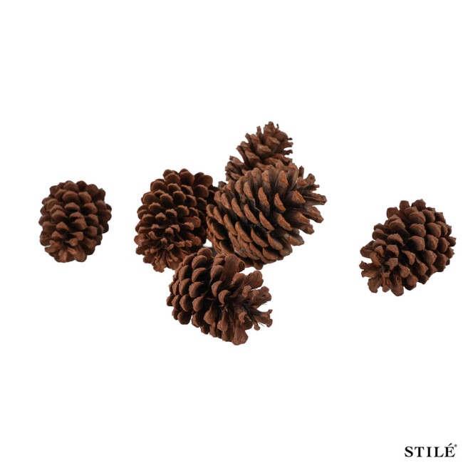 Sacchetto con Pigne Naturali Decorative da 6-10 cm