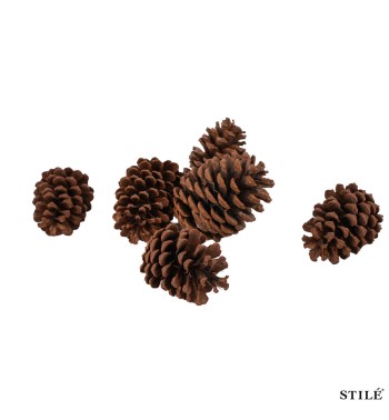 Sacchetto con Pigne Naturali Decorative da 6-10 cm