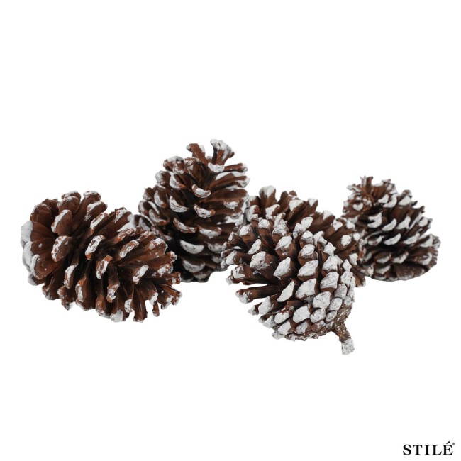 Sacchetto con Pigne Naturali Innevate Decorative 6-10 cm