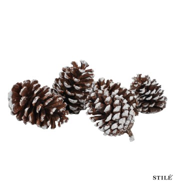 Sacchetto con Pigne Naturali Innevate Decorative 6-10 cm