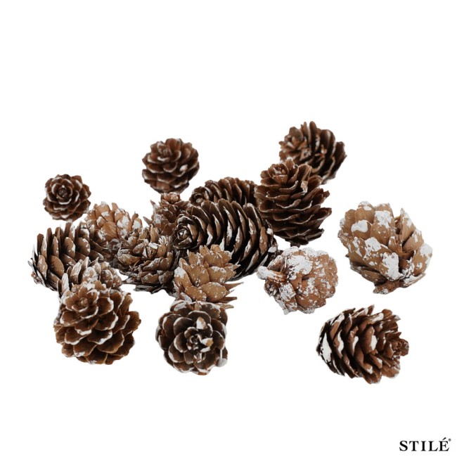 Sacchetto di Pigne Naturali Innevate Decorative – 110 Pigne da 2-3 cm
