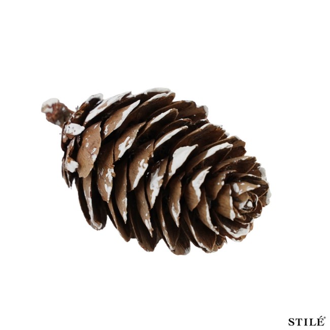Sacchetto di Pigne Naturali Innevate Decorative – 110 Pigne da 2-3 cm