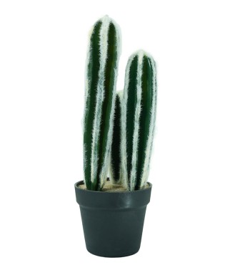 Pianta Grassa Artificiale con Aghetti Bianchi e Vasetto H.40 cm