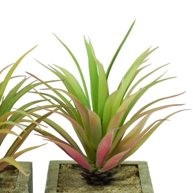 Tre Piantine Verdi Artificiali con Sottovaso H.18 cm