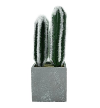 Piantina Grassa Artificiale con Aghetti Bianchi e Vasetto H.27 cm