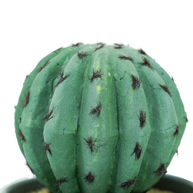 Piantina Grassa Artificiale con Vasetto H.20 cm